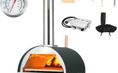 Test : four à pizza Dr Four pour l&rsquo;extérieur au bois et gaz